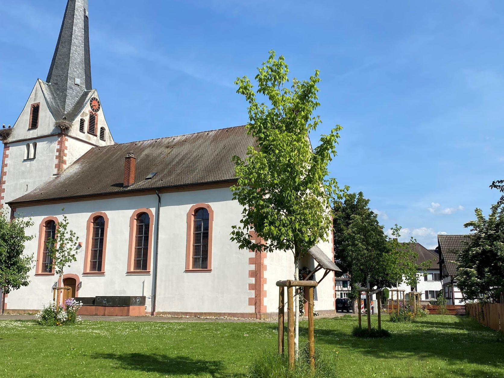 Bäume an der Legelshurster Kirche